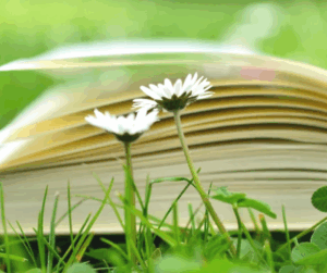 Five tips for writing image descriptions