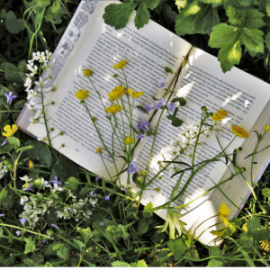 Measuring library zeitgeist in realtime