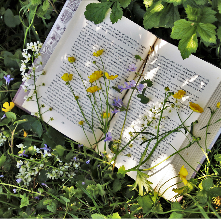 Measuring library zeitgeist in realtime